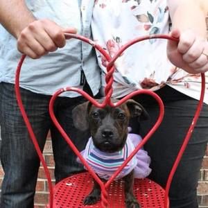 Meet your Posher, Brianna